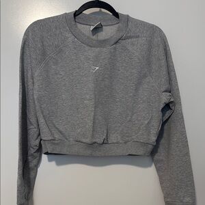 Gymshark Gray Cropped Long Sleeve Hoodie